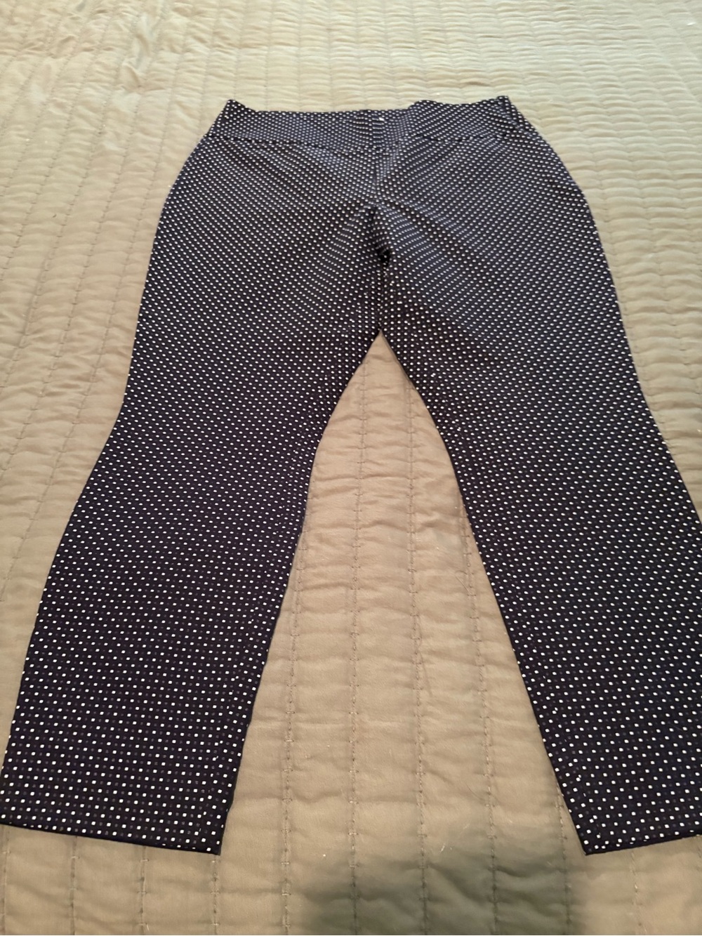 Cabi Polka Dot Straight Leg Pants in Black & White Size 14